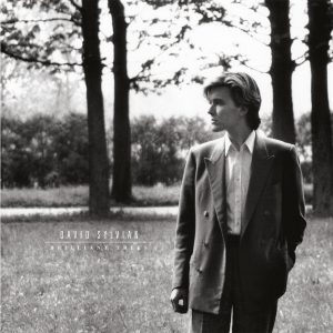 David Sylvian - Brilliant Trees vinyl