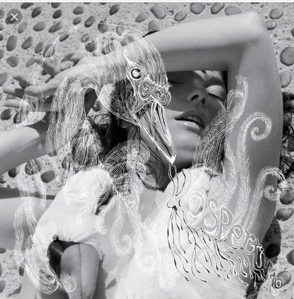 Björk - Vespertine