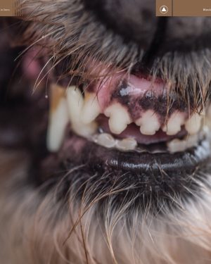 Blanck Mass - World Eater