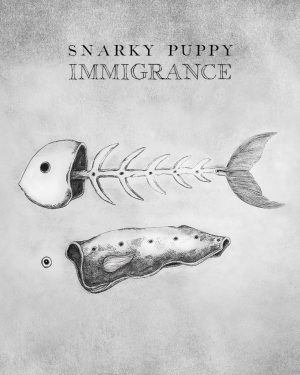 Snarky Puppy - Immigrance
