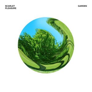 Scarlet Pleasure - Garden